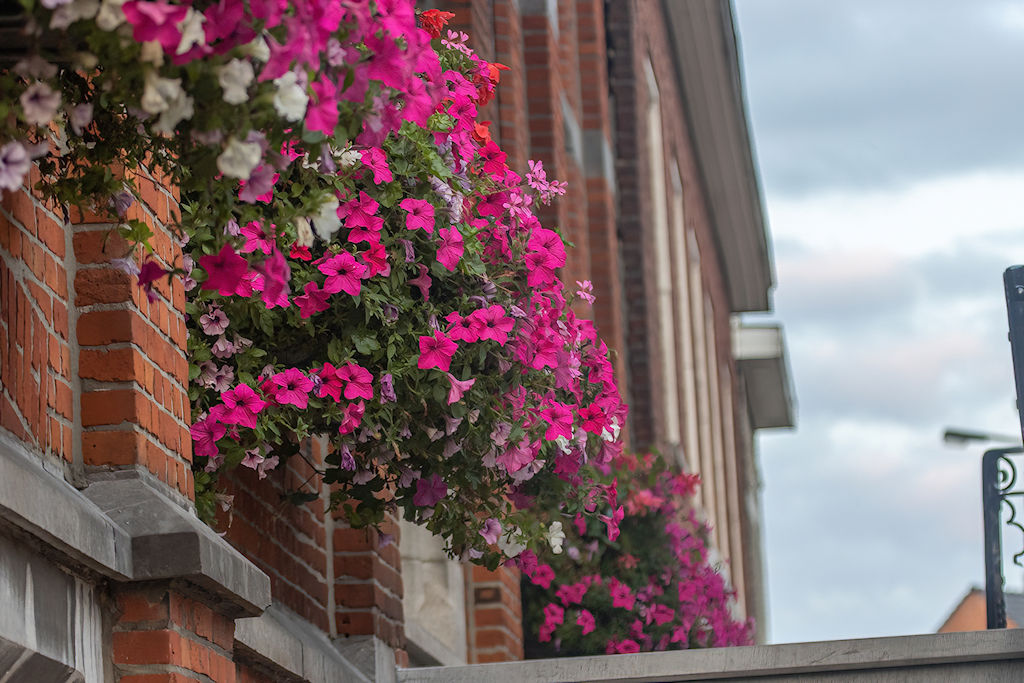 Foto-uitstap naar Retie.
