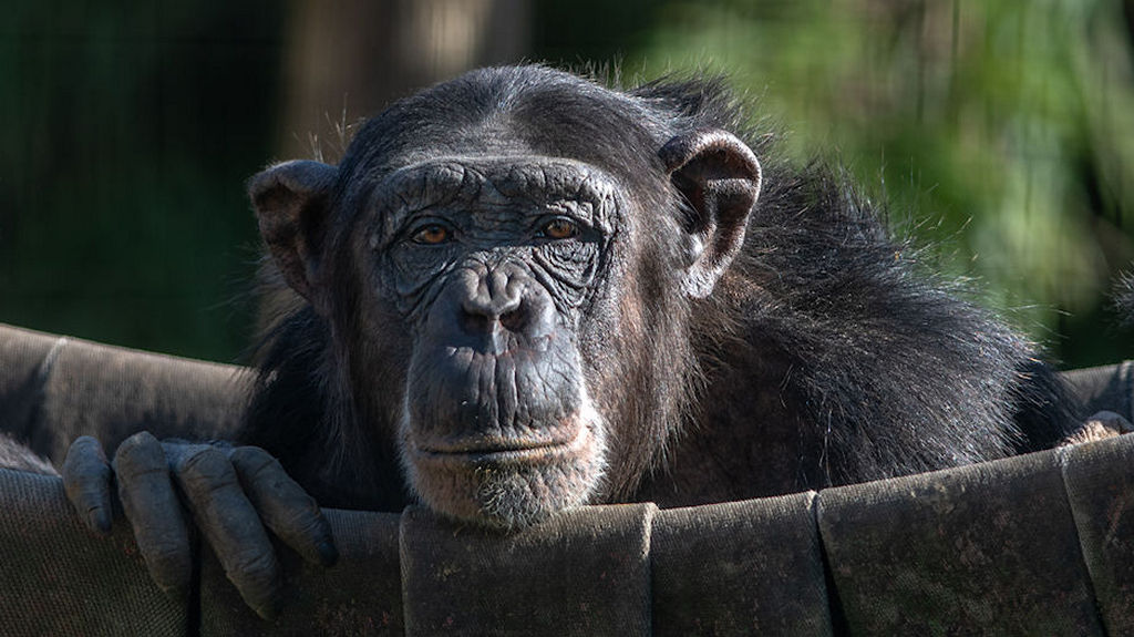 Foto Uitstap Pakawi&nbsp;Park