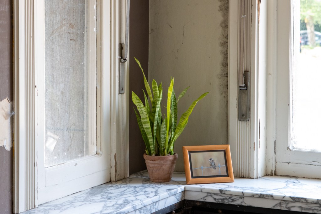 Pop-up fototentoonstelling in Huize de&nbsp;Giet